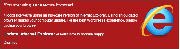 Wordpress 3.6 and IE10