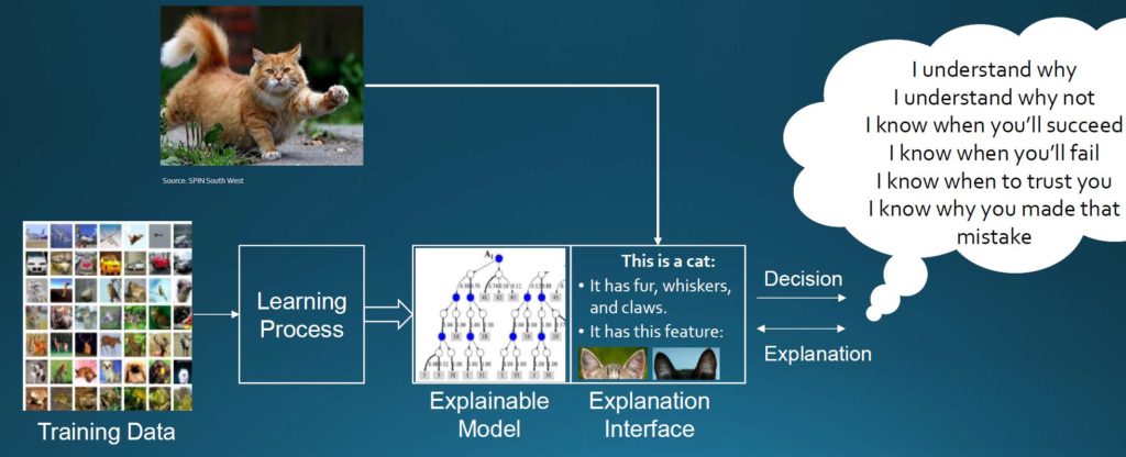 AI Models to explain decisions