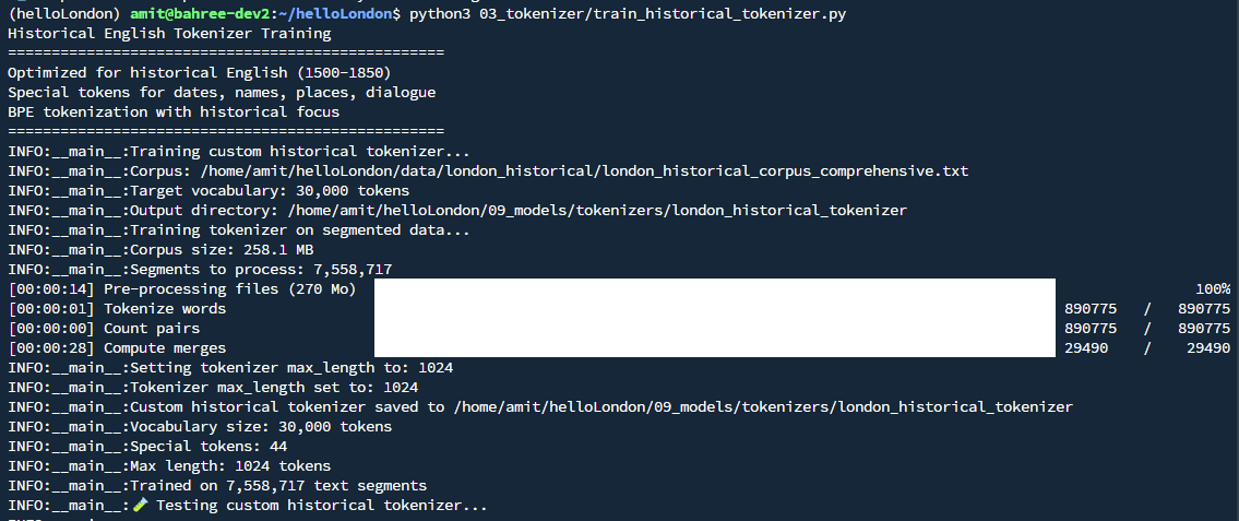 Custom Tokenizer Training