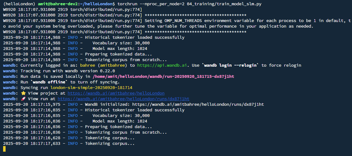Starting model training