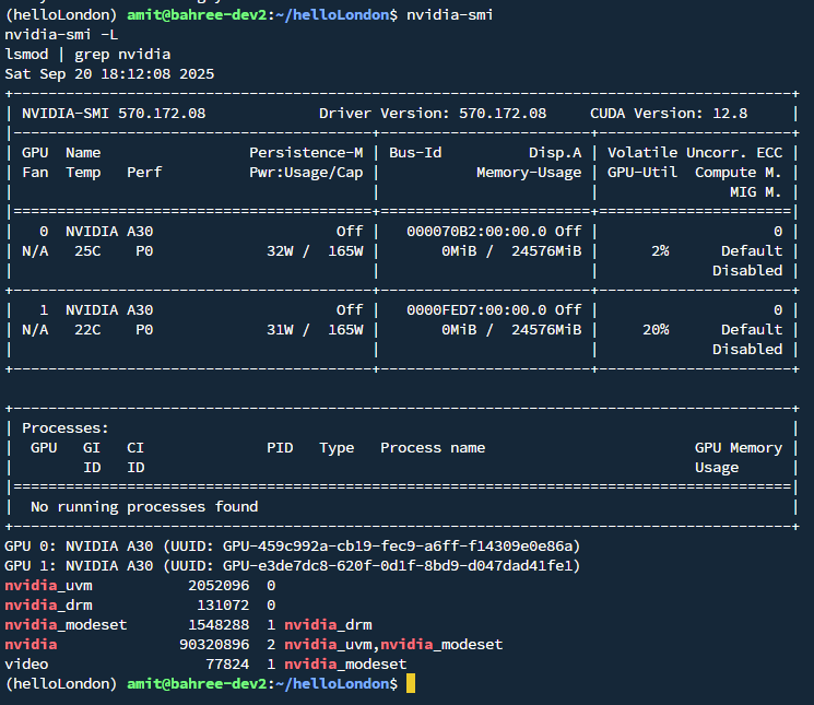 GPU detail Screenshot