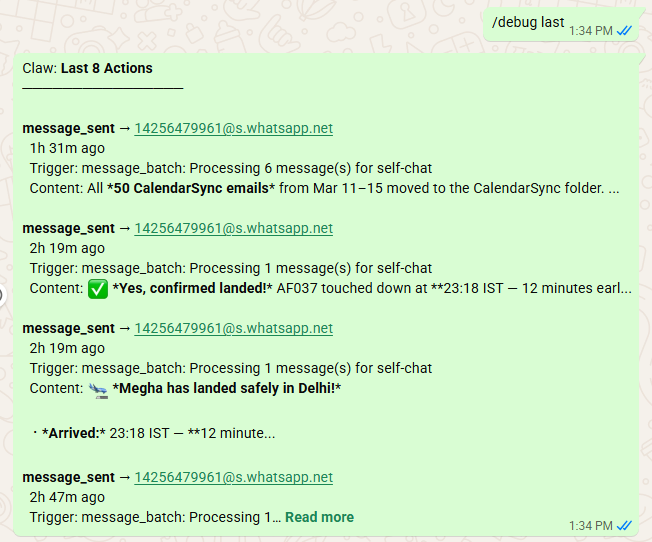 /debug last 5 showing F1 query response, flight tracking updates, and Gmail cleanup actions